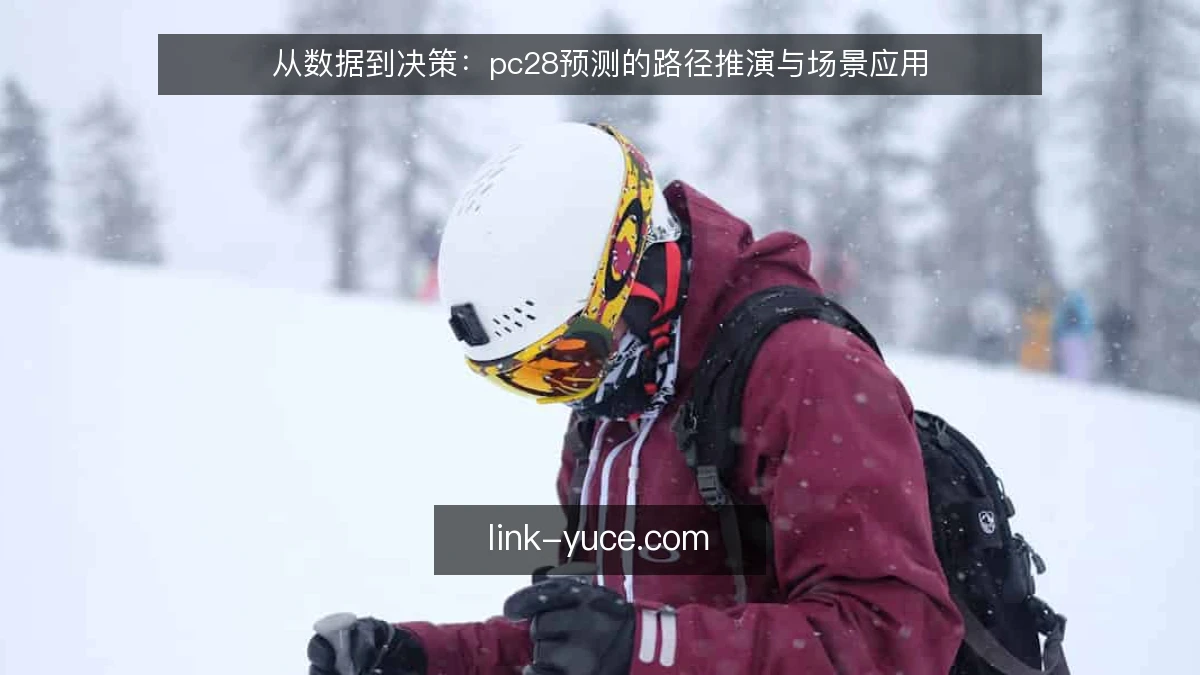 从数据到决策：pc28预测的路径推演与场景应用