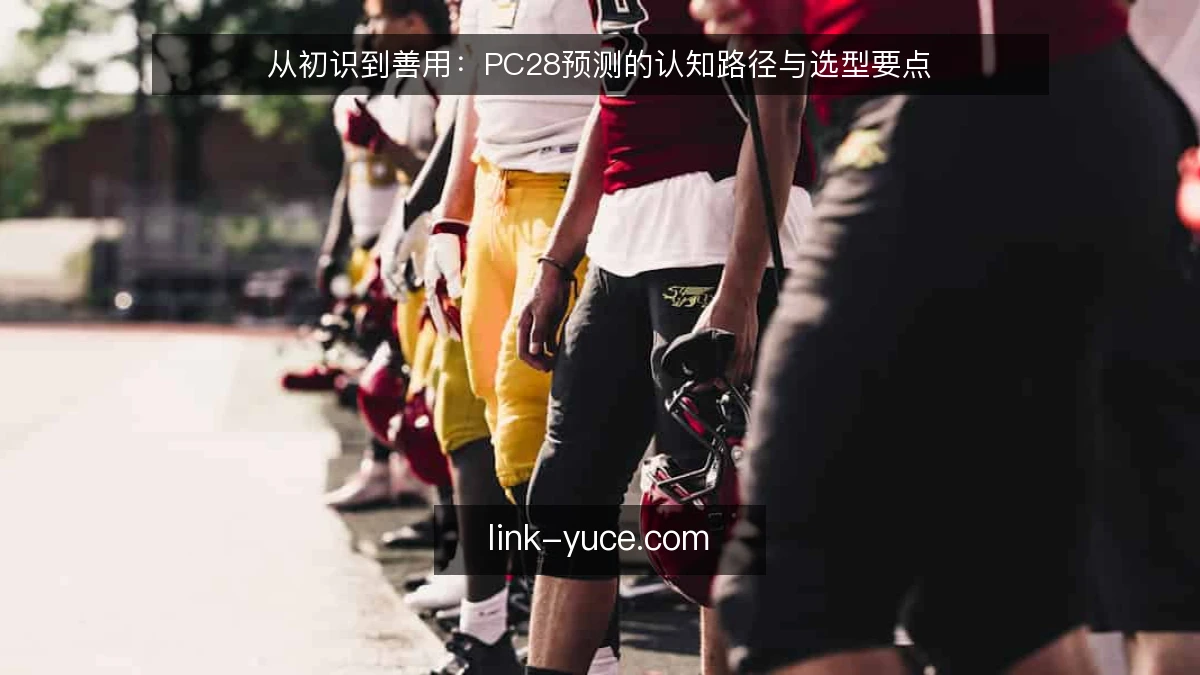 从初识到善用：PC28预测的认知路径与选型要点