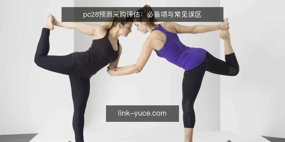 pc28预测采购评估:必备项与常见误区 — 明确采购评估范围 配图